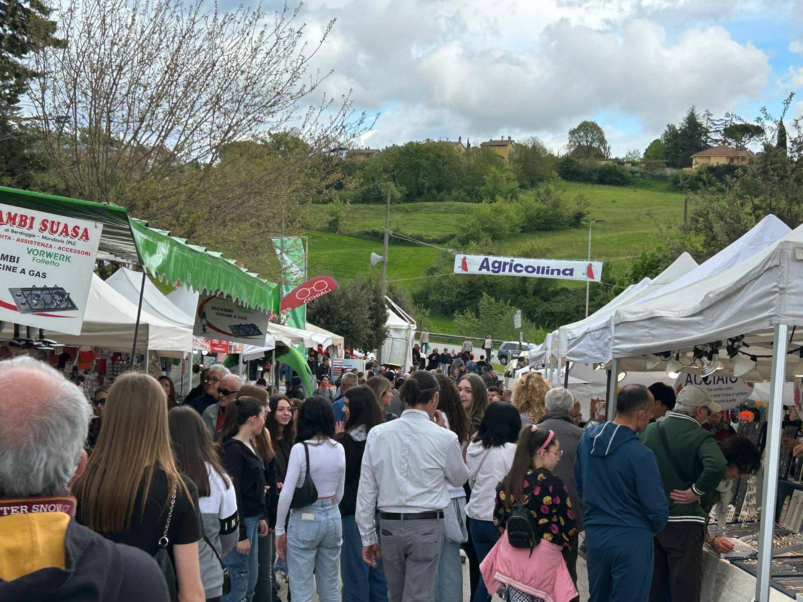 immagine notizia (ptn) Agricollina 2026: conferenza stampa in Provincia per la presentazione della 58esima edizione – mercoledì 15 aprile